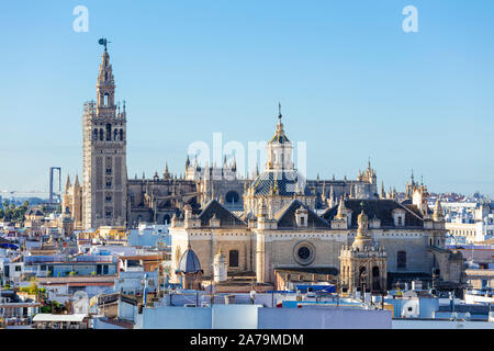 Blick auf die Skyline von Sevilla die Kathedrale von Sevilla La Giralda Glockenturm und Dächer der Stadt Sevilla Spanien Sevilla Andalusien Spanien EU Europa Stockfoto