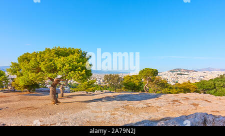 Öffentlicher Park auf dem Hügel von den Nymphen in Athen, Griechenland - griechische Landschaft Stockfoto