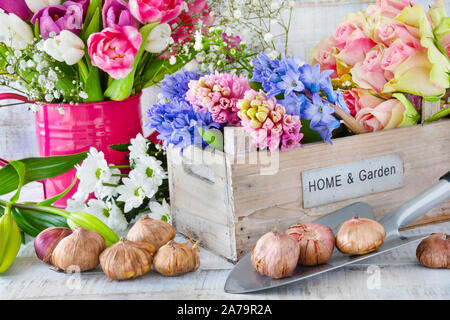 Garten - Frühling Blumen Garten Ausstattung Blumenzwiebeln Stockfoto