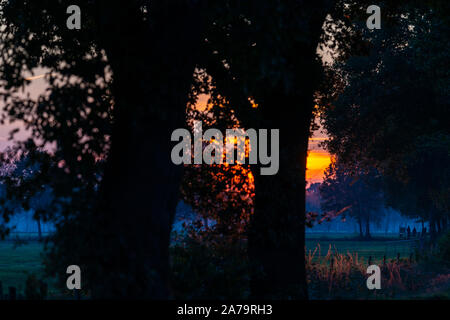 Eine spezielle Sonnenuntergang mit intensiven Farben im Herbst Abend Stockfoto