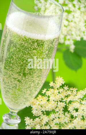 Sekt und Holunder Hintergrund Nahaufnahme Stockfoto