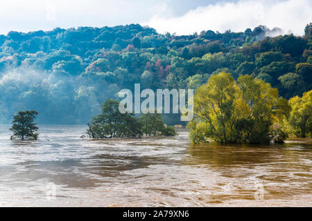 Die Schlammigen, sandiges Wasser des Flusses Wye in der Flut am 28.10.2019 bei Kerne Brücke, Herefordshire UK - Die überschwemmung wurde durch starken Regen in Wales verursacht. Stockfoto