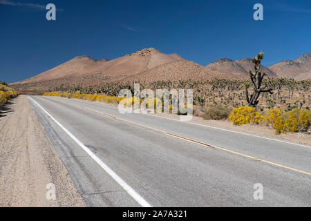 Walker Pass Highway 178 Kern County Stockfoto