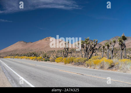 Walker Pass Highway 178 Kern County Stockfoto