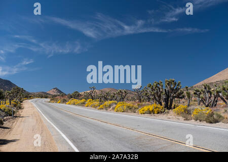 Walker Pass Highway 178 Kern County Stockfoto