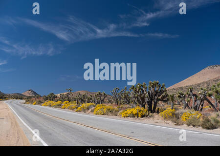 Walker Pass Highway 178 Kern County Stockfoto