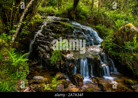 Fließendes Wasser im Nationalpark Saja Besaya, Spanien Stockfoto