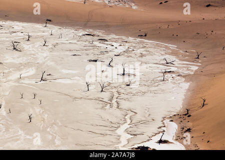 Tote Bäume im Sossusvlei, Namibia Stockfoto