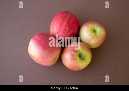 Pink Lady Äpfel aus Apple Hill, Kalifornien Stockfoto