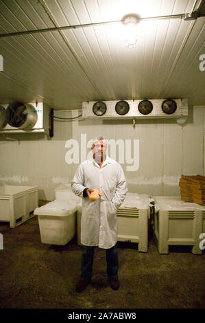 Izzy Yanay, Gründer und Vice President von Hudson Valley Foie Gras, stellt in einem kalten Zimmer Holding eine Fettleber am Bauernhof in Ferndale, USA, 16. März 2. Stockfoto