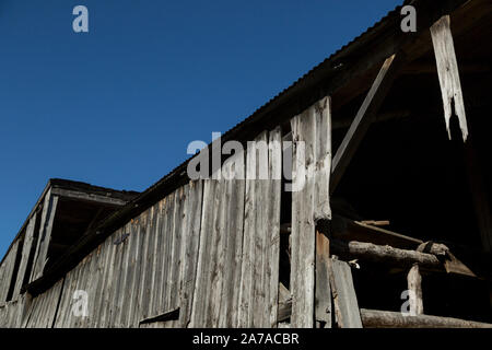 Alte Scheune in Unkräuter baufälligen Zustand sonnigen Tag tamworth Ontario Stockfoto
