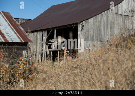 Alte Scheune in Unkräuter baufälligen Zustand sonnigen Tag tamworth Ontario Stockfoto