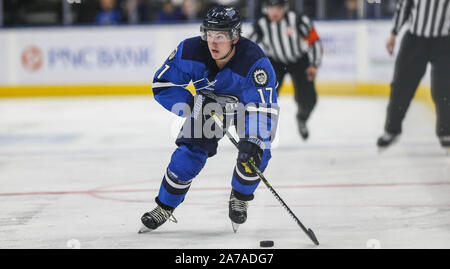 Jacksonville Eisgruben steigt vorwärts Everett Clark (17) Fortschritte der Puck während des zweiten Zeitraums von ein echl Professional Hockey Spiel gegen die Atlanta Gladiatoren am Veterans Memorial Arena in Jacksonville, Fla., Mittwoch, Oktober 30, 2019. (Gary Lloyd McCullough/CSM) Stockfoto