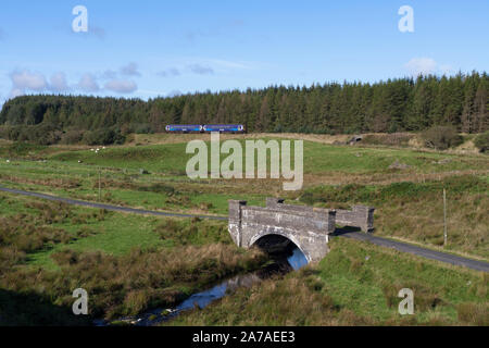 Abellio scotrail Klasse 156 Sprinter Zug passiert den ländlichen Barrhill, auf der Linie nach Stranraer in Ayrshire, Schottland Stockfoto