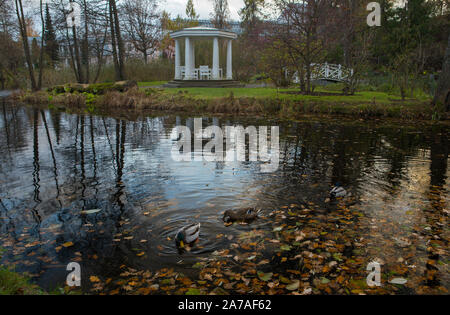 Teich im Botanischen Garten der Universität Tartu Stockfoto