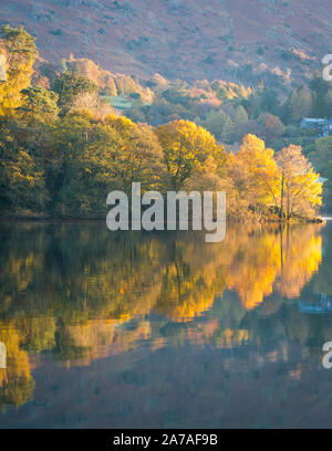 Bäume beleuchtet durch die frühe Morgensonne auf See Grasmere im späten Oktober Stockfoto