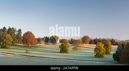 Am frühen Morgen Sonne Leuchtet Kildrummy Castle und Bäume in die umliegenden Felder An einem frostigen Morgen im Herbst Stockfoto