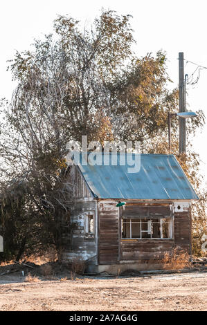 Run down Shack eines ehemaligen Skala Haus unter einem Winter Baum Stockfoto