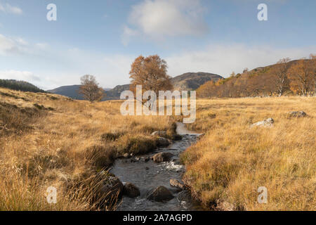 Die Felagie Brennen schneidet durch offenen Moor in diesem herbstlichen Blick in den schottischen Highlands in Richtung Craig Lauch und Morrone in der Ferne Stockfoto