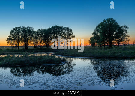 Dämmerung über Feuchtgebiete, Anfang Sommer, WI, USA, von Dominique Braud/Dembinsky Foto Assoc Stockfoto