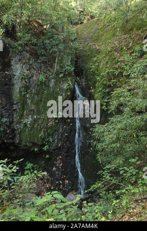 Das Rückgrat fällt in die Cherokee National Forest in Tennessee, USA Stockfoto