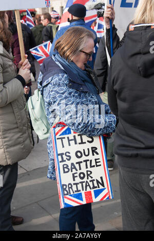 Brexit demonstration Westminster vom 31. Oktober 2019 Stockfoto