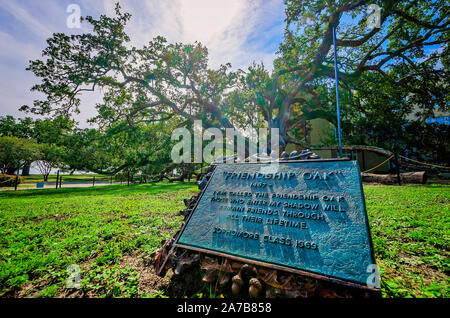 Ein Zeichen erzählt die Legende von der 500 Jahre alten Freundschaft Eiche, Oktober 22, 2019, Long Beach, California. Stockfoto