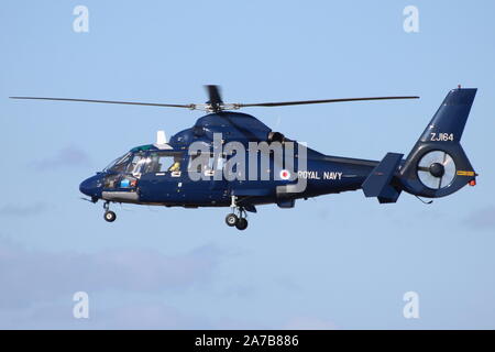 ZJ 164, eine Aerospatiale Dauphin HU 1 von der Royal Navy betrieben, am Internationalen Flughafen Prestwick während der Übung gemeinsame Krieger 13-1. Stockfoto