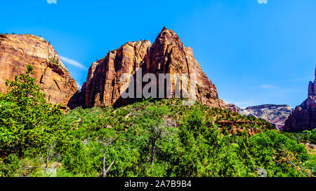Die Speerspitze Peak im Zion National Park, Utah, USA, gesehen von der Emerald Pools Trail Stockfoto