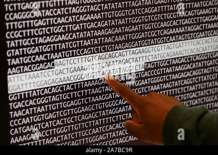 Dummerstorf, Deutschland. 30 Okt, 2019. Julien Nguinkal Alban arbeitet an der Leibniz Institut für Biologie der Tiere (FBN) am Institut für Genomik. Zusammen mit anderen Forschern vom Institut, er hat jetzt das Genom der Zander zum ersten Mal aufgeklärt. Es besteht aus 24 Chromosomen und, mit ca. 1 Milliarden Basenpaare, ist etwa ein Drittel der Größe eines mammalian Genome. Die Bildung des Genoms ist wichtig für die Haltung von Zander in der Aquakultur. Quelle: Bernd Wüstneck/dpa-Zentralbild/dpa/Alamy leben Nachrichten Stockfoto