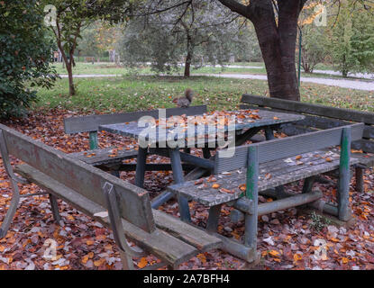 Herbst Landschaft in eine bunte Stadt park von den lebhaften Farben der gefallenen Blätter Stockfoto