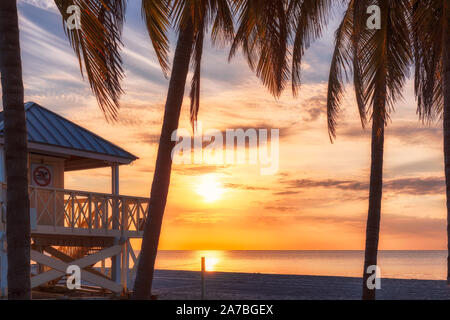 Silhouetten von Palmen am tropischen Strand bei Sonnenaufgang Stockfoto