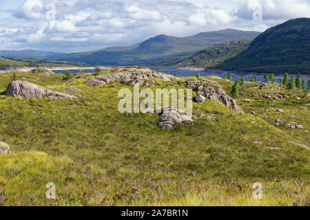 Creag Lundie Süden oben auf der Insel im Loch Cluanie, Highland, Schottland, UK Blick nach Osten in Richtung Dam&Beinn eine Eoin (660 M) und Meall Dubh (788 m) Stockfoto