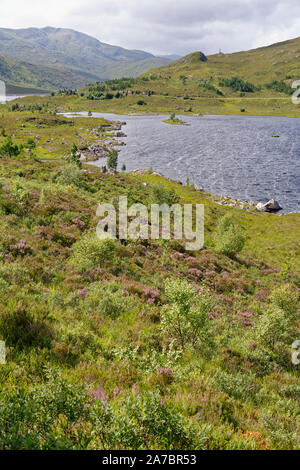 Creag Lundie Süden oben auf der Insel im Loch Cluanie, Highland, Schottland, UK Blick nach Westen Richtung Aonach Luft Chrith (1021 M) Stockfoto