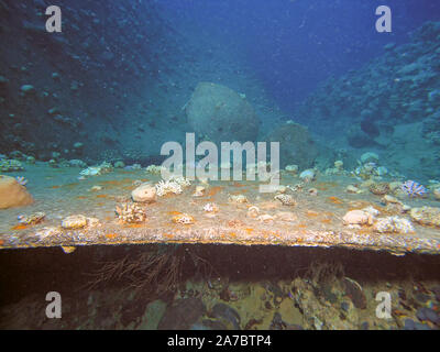 Das Wrack des Cedar Pride in Aqaba, Jordanien Stockfoto