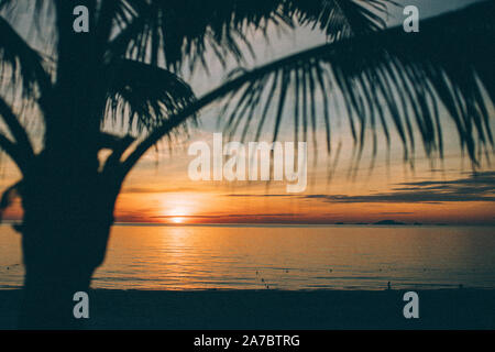 Der Sonnenuntergang hinter Palmen am Meer Stockfoto