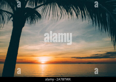 Der Sonnenuntergang hinter Palmen am Meer Stockfoto