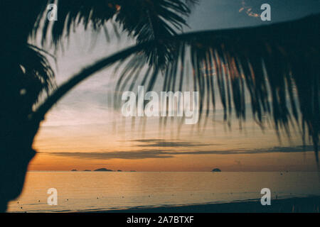Der Sonnenuntergang hinter Palmen am Meer Stockfoto