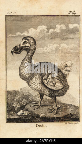 Dodo, Raphus cucullatus, ausgestorbene Vogelart. Kupferstich von Elias Martin von Oliver Goldsmith ist eine Geschichte der Erde und des belebten Natur, Millar, London, 1791. Stockfoto