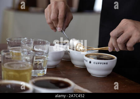 Professional Q Sortierer Vorbereitung zu testen und die Kontrolle der Qualität des Kaffees und der kaffeesatz aus Keramik Schale auf dem Tisch abschöpfen. Stockfoto