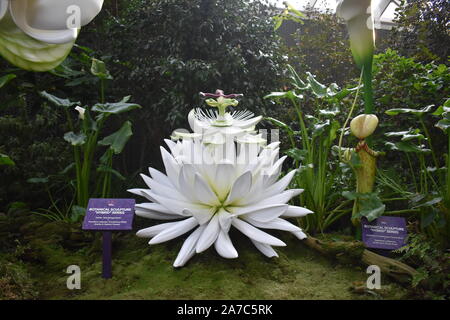 Blume Dome, Gärten an der Bucht, Singapur, Asien, 14. August 2019: Schöne und große Lotus white flower geformte Struktur Stockfoto