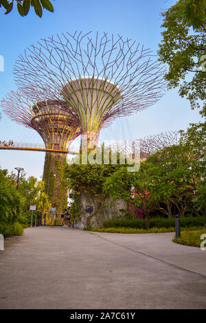 Gardens by the Bay, Singapur, Asien, 13. August 2019: Große Struktur mit klaren Himmel blauer Hintergrund Stockfoto