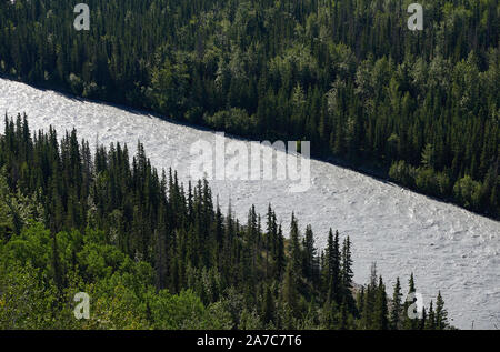 Blick von oben auf den Fluss Matanuska, an dessen Ufern dichter Wald liegt. Stockfoto