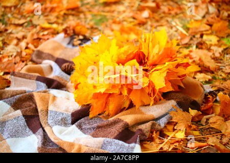 Ein Kranz aus herbstlaub liegt auf einem karierten Plaid in einem Park Stockfoto