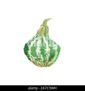 Aquarell hand gezeichnete Skizze Kürbis, Herbst Thanksgiving lackiert Abbildung auf weißem Hintergrund. Stockfoto
