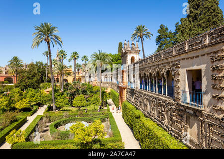 Galería de Grutesco und das Portal der Privileg in die Gärten des Alcazar Palast Sevilla Spanien Sevilla Andalusien Spanien EU Europa Stockfoto