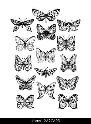 Sammlung von Schmetterlingen und Motten Hand gezeichnet Vektor Skizze Stil schwarze Silhouette auf weißem Hintergrund, naturalistische Abbildung in Vintage