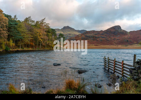 Schöne und Moody morgens Licht bei blea Tarn im englischen Lake District mit Blick auf den Langdale Pikes und der Hecht im Herbst. Stockfoto