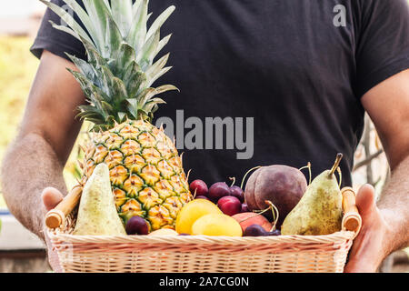 Weidenkorb voller Obst in die Hände eines Bauern Stockfoto