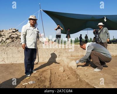 (191101) - Taschkent, Nov. 1, 2019 (Xinhua) - die Angestellten Arbeiter sich archäologische Ausgrabungen an einem Grab in der antiken Siedlung von Mingtepa, Andijan, Usbekistan, Aug 6, 2019. Das Ferghana-tal im Westen der Pamir, einer der am dichtesten besiedelten Regionen Zentralasiens, für die kostbaren Ferghana Pferderasse und ein wichtiger Knotenpunkt auf der alten Seidenstraße bekannt, seit Wissenschaftler und Forscher aus der ganzen Welt seit Jahrzehnten. Im Jahr 2012 wurde eine gemeinsame internationale archäologischen Expedition der chinesischen und der usbekische Wissenschaftler begonnen, die die alte Siedlung von Mingtepa, eine "lebendige Stockfoto